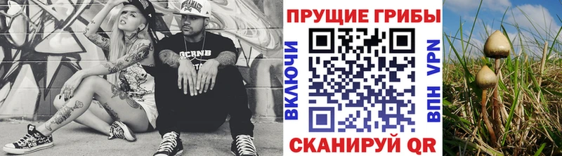 где купить наркоту  блэк спрут онион  Псилоцибиновые грибы Psilocybine cubensis  Якутск 